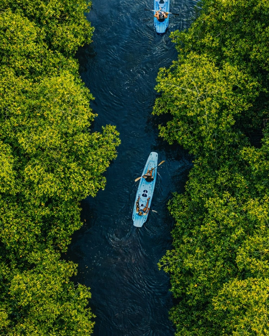 elegant floral eau de parfum story instagram post